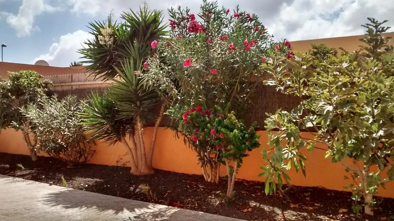 Holiday home La Casita Villa La Oliva Spain