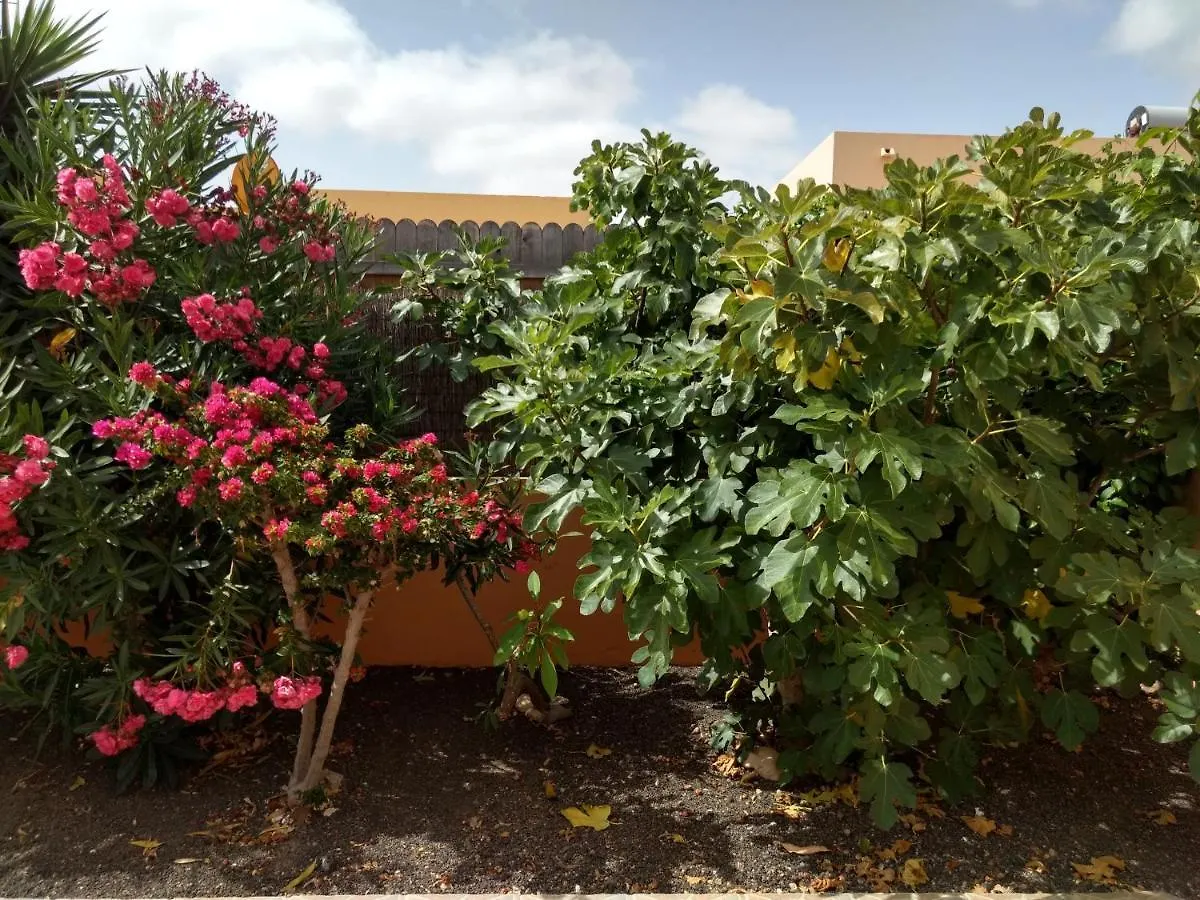 La Casita Villa La Oliva Spain